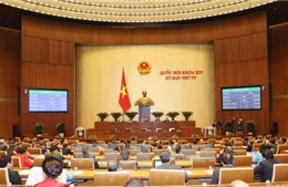 Thí điểm cơ chế, chính sách đặc thù phát triển TP Hồ Chí Minh 
